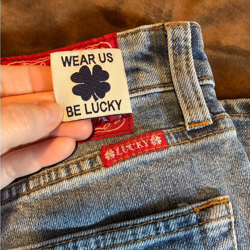 Lucky Brand, Bridgette Hi-rise Straight Jeans with embroidered Side Graphic, 28 - Picture 7 of 14
